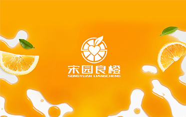 某良橙——揭阳LOGO设计