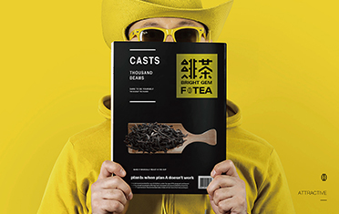 揭阳绯茶品牌设计